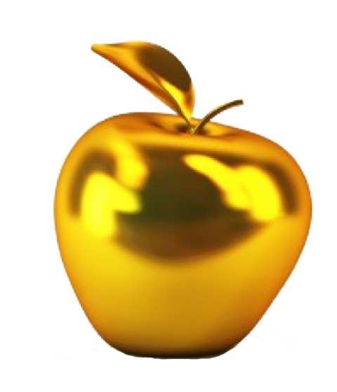 Public Education Association